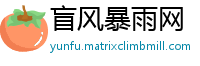 盲风暴雨网